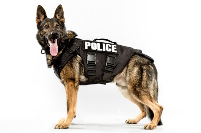 Seattle's Canine Police Force