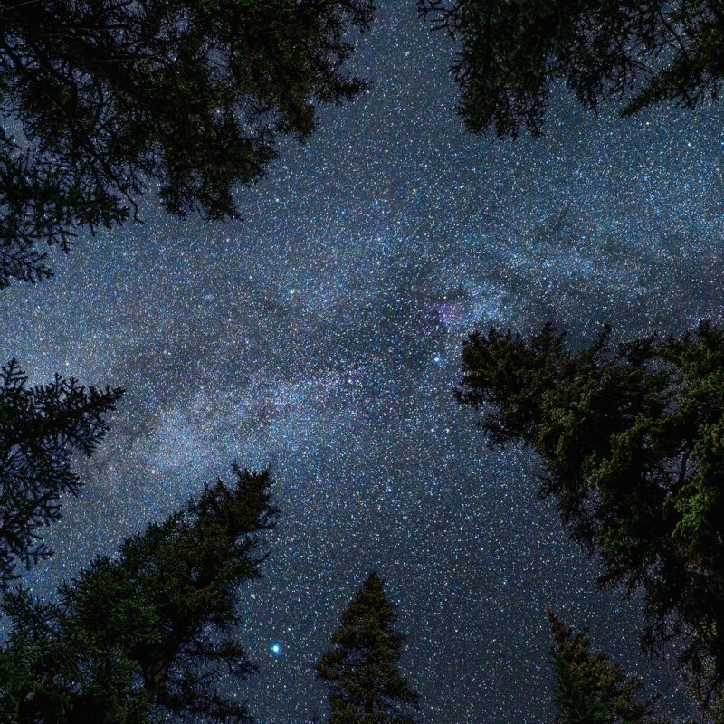 What do you Wonder&nbsp;About?